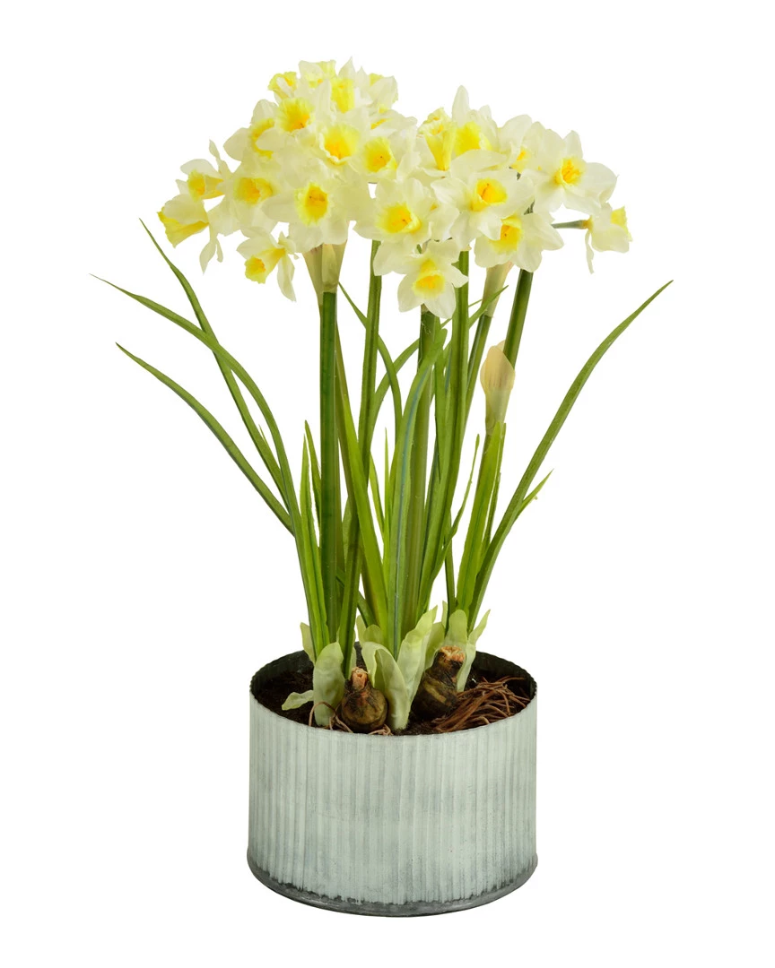 Promo β Picnic At Ascot Daffodil Faux Floral Arrangement Home Plants & Vases π 1 Promo β Picnic At Ascot Daffodil Faux Floral Arrangement Home Plants & Vases π