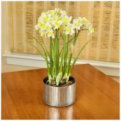 Picnic at Ascot shop -Picnic at Ascot shop 3010312919 RLLZ 2